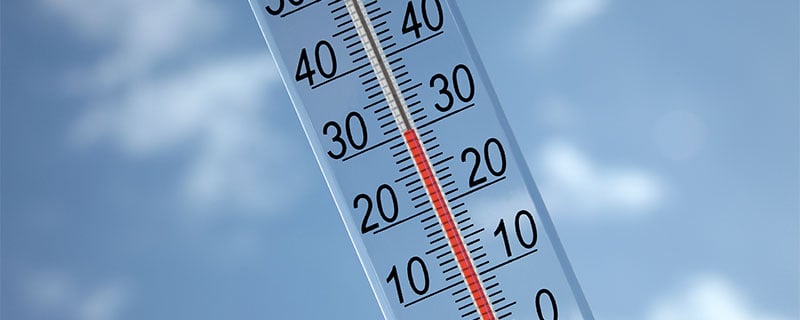 Alexis Lomakin, Ph.D. (אל) אַלעקסיס לאָמאַקין tweet media