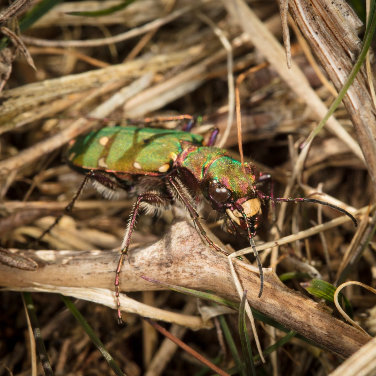 Martin Taylor tweet media