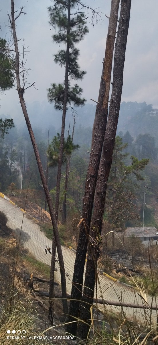 M2ACCESORIOS's tweet photo. Incendio Forestal  en en Bosque de la  Urbanización Bosque Valle @HidroCapital2  necesitamos agua!! 
#necesitamosagua #incendio #bosquevalle https://t.co/i0dIBVtxWR