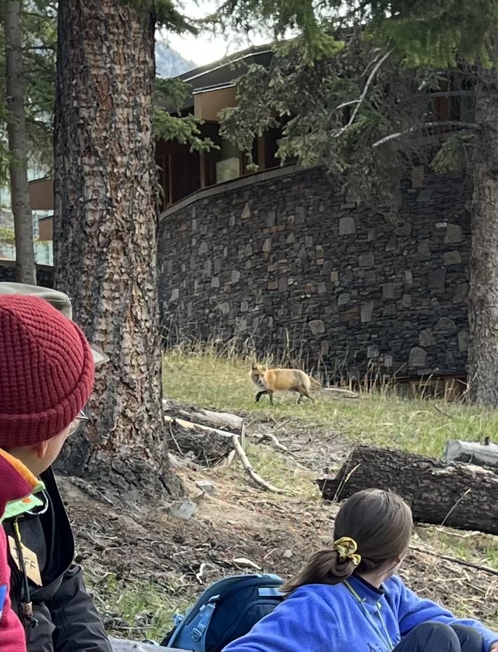 Abi Henneberry tweet media