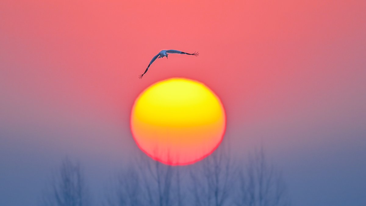 🐦
𝟚𝟛₀₅𝟎𝟔

🐦🌒🌹
"Sin ti"
Mayo pierde el encanto que lo hace especial y bello, sin tu risa y tu alegría, sin tu amor, sin tu consuelo el cielo parece más triste y el sol no brilla, los días se vuelven más largos, y la noche más silenciosa e inmensa.
*Noah Johnson