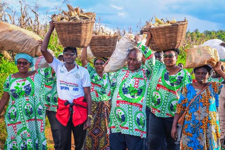 GitegaVuturaa's tweet photo. #Gitega. Umwansi dufise ni #ubukene, ikirwanisho uwo mwansi aduteza ni #ubunebwe. Ni kubw'iyo mvo Abanywanyi b'ishirahamwe ryo gusubiza isi akanovera #VASO @Gitega, kur'uyo wa 5/5/2023, bagorobeje kwimbura ibigori, gutorera ingano no kugenzura uruhongore rw'impene basanzwe boroye https://t.co/7c296cFvDU