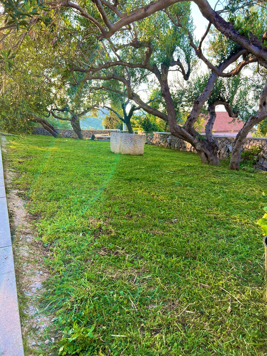 MaziMarKov's tweet image. I did gooooood today 😊😎