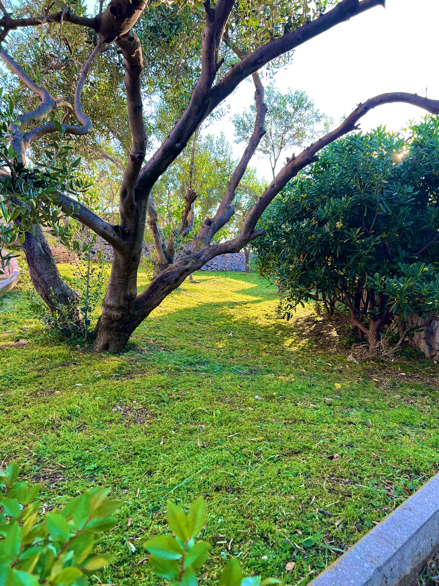 MaziMarKov's tweet image. I did gooooood today 😊😎