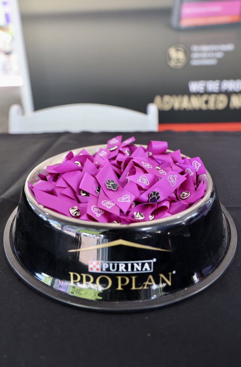 The #WestminsterDogShow is proud to partner with Purina and Red Rover for their Purple Leash Project to raise awareness for domestic violence victims with pets. Grab a purple ribbon at the @ProPlan tent to show your support. 💜