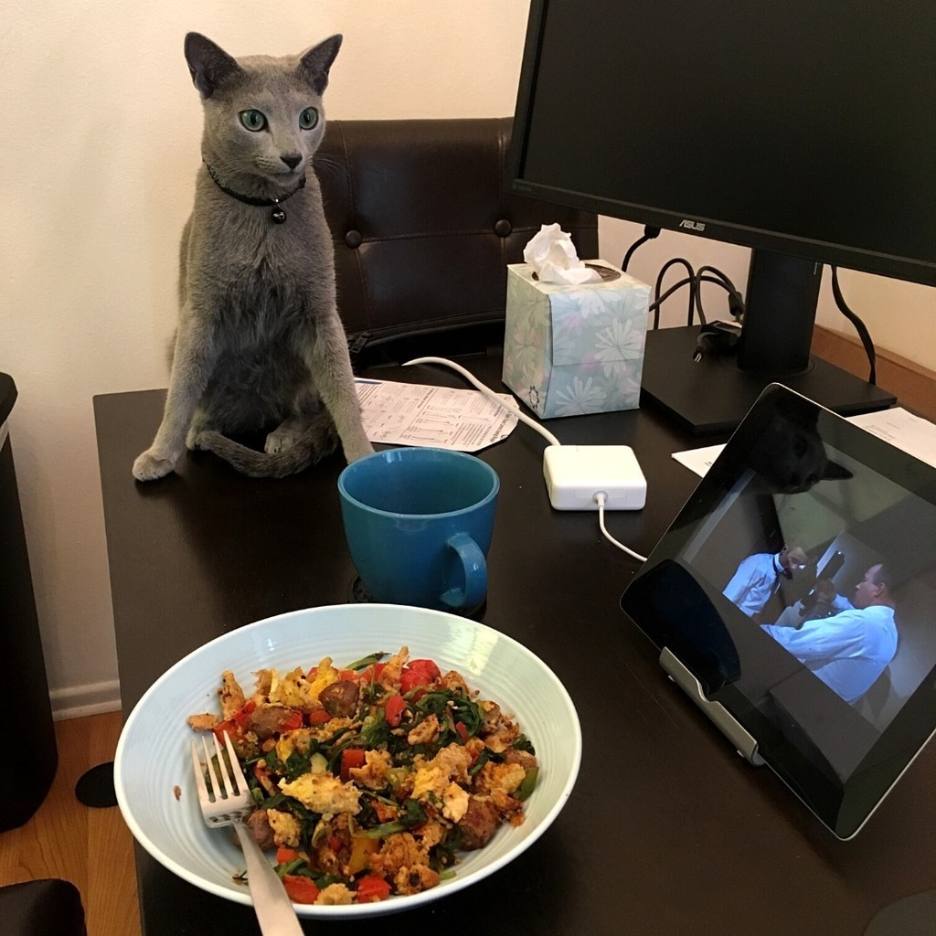 Just patiently waiting for my Dad to share his food 😸💖

Do your Hoomans share their food with you? 🥺 instagr.am/p/Cr6P4MHMV7b/