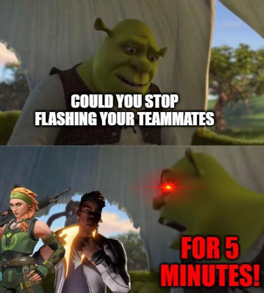 MemesValorant's tweet photo. I dont know if they want to blind the enemy or blind the team https://t.co/o8ef3E45ll