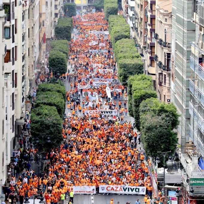 🟠 50.000 cazadores se han manifestado hoy en Valencia en defensa del sector cinegético. 

La caza vuelve a demostrar unidad y fortaleza en una movilización histórica. 💪🏻

¡¡ENHORABUENA POR EL TRABAJAZO <a href="/fedcazacv/">Federación Caza CV</a> !!