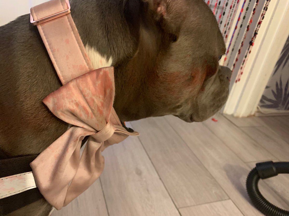 _minty14's tweet photo. What a sicko at her big age she wants to be attacking a 21 year old  in the middle of the night for no reason by spraying chemicals on her face. Attacking her and the dog aswell. 
The police isn’t doing anything 
This is her face report https://t.co/YRQTkNPDTS