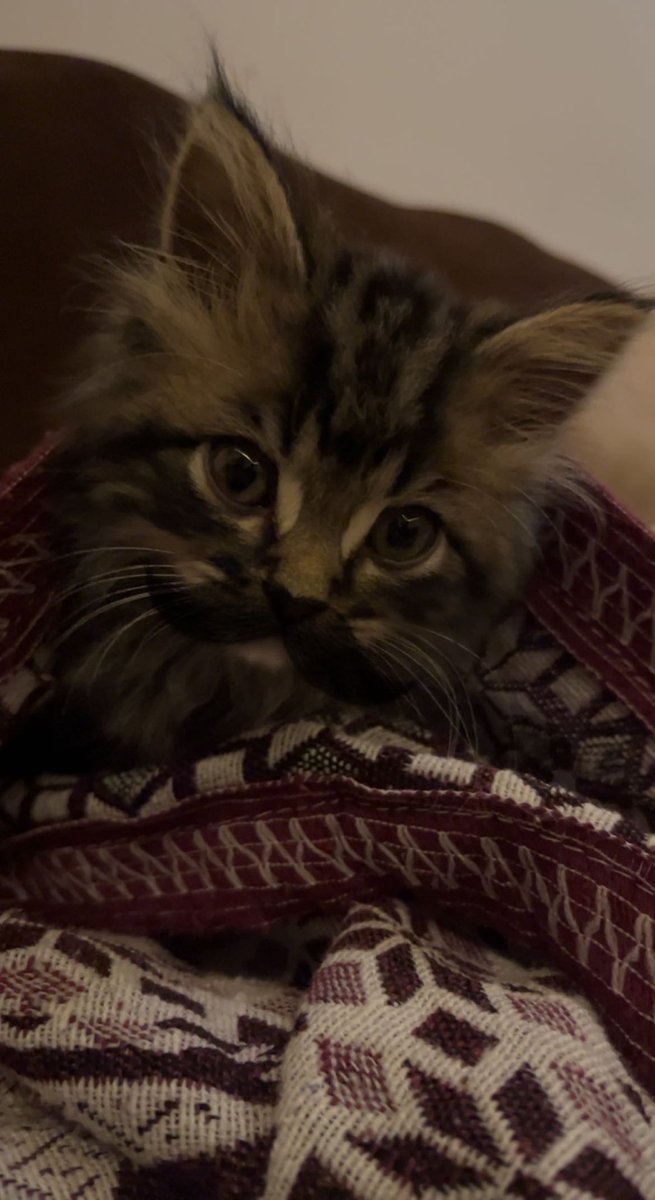 آي ثنك انو فيصل وجهاد اخوة 🦦