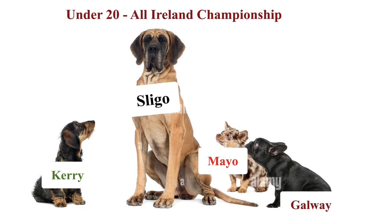 SligoStats tweet media