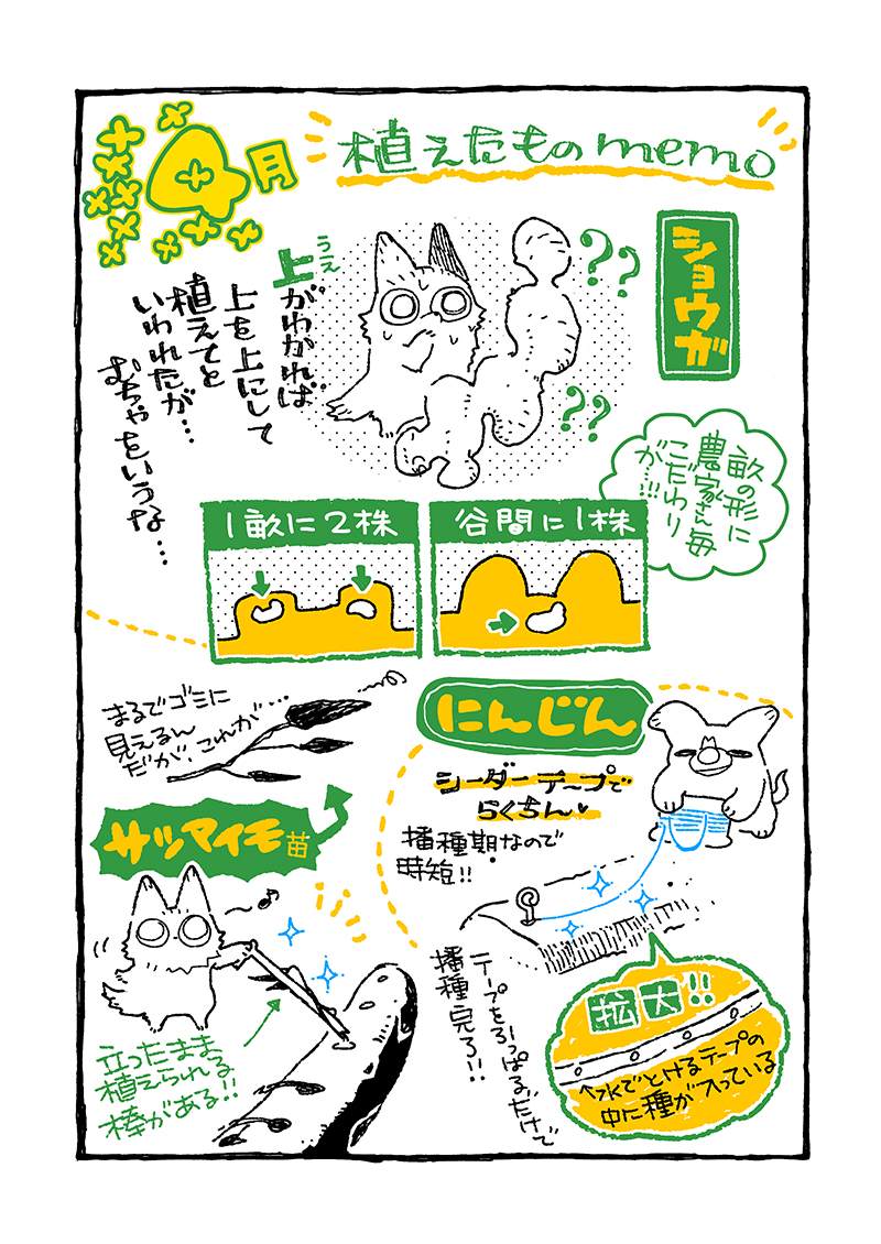 【適当農園】(8) タケノコの成長速度にせっつかれ、気が付けば5月になっており、机の地層の下のほうから3末期限の書類が出てきた所です。元気にやっております。#家庭菜園