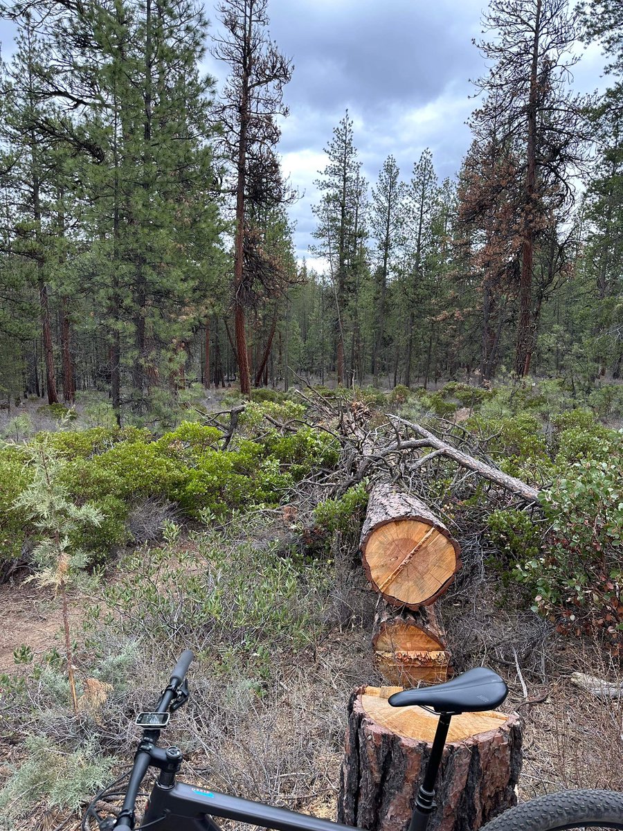 BendTrails tweet media