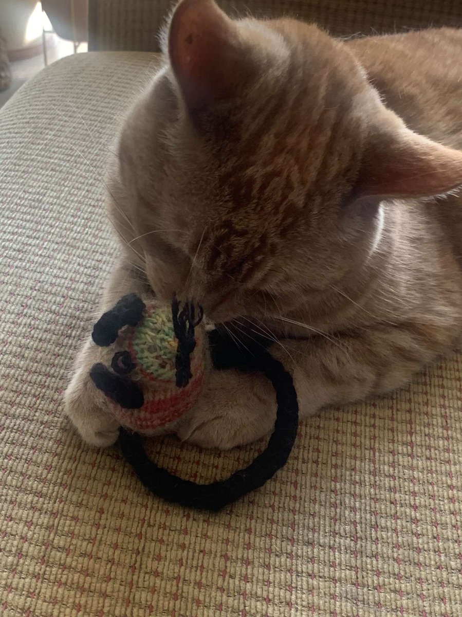 We are at risk of not making our target for the second time. If you love an animal or pet as much as we love our beautiful boy please consider signing and sharing #JusticeForJam Please Sign and Share petition.parliament.uk/petitions/6320… Thank you 🧡