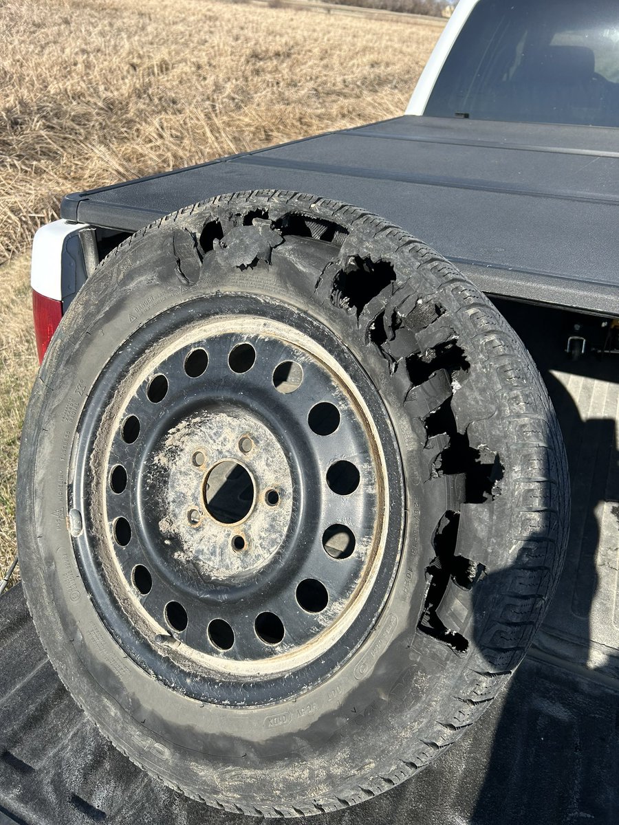 Tyler Bere tweet media