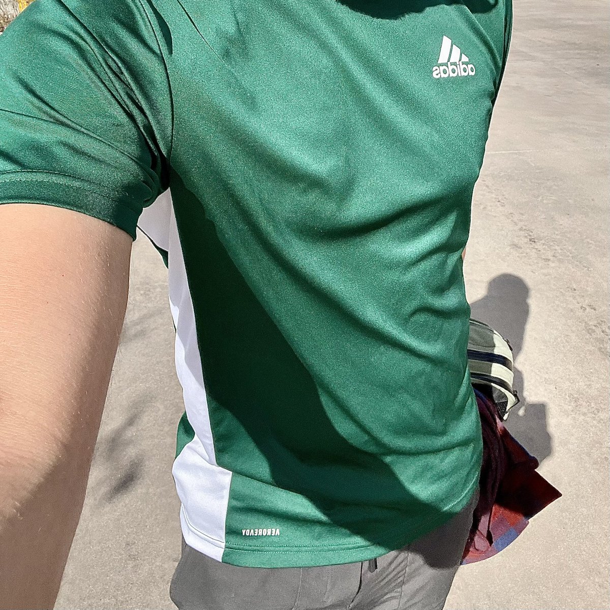 ShinyguySD tweet media