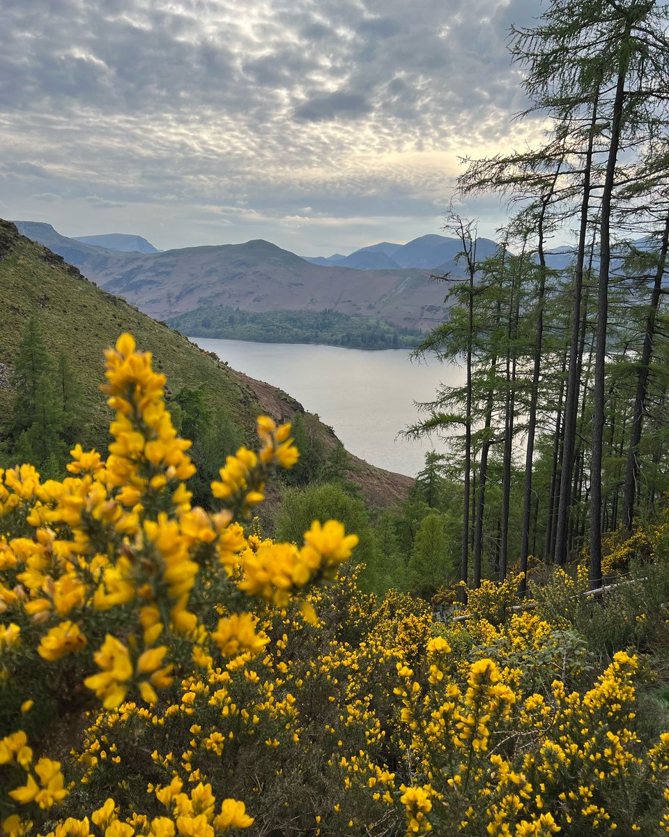 Our walk of the week is Walla Crag, a lovely 5 mile circular walk that takes just 3 hours from the front door.