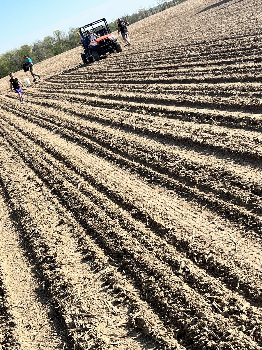 lindseymeyer82's tweet photo. 27 new strawberry rows ready for 2024!! All 7000 plants made it in. We actually ran out of plants 😳😳🤪🤪🤪. Also we have a camera 🎥 gal snapping the hard work and of course the fun!!! Blessed for my family and friends https://t.co/A8fTuO6dMQ
