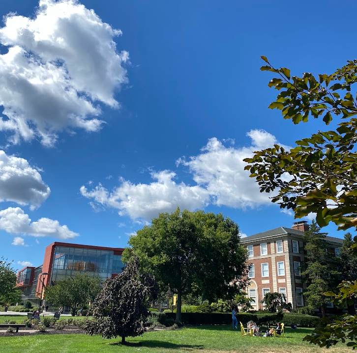 AdelphiU's tweet photo. Beginning in Fall 2023, Adelphi University will offer a new interdisciplinary, 22-credit Museum Studies program to current and prospective undergraduate students. https://t.co/pHDYD1LR48 https://t.co/kLrfFxZDGv