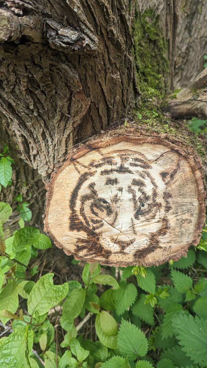 R4echK's tweet photo. Returned from holiday last week and discovered some new artwork on my dog walk 🤩 #Ashford #LittleBurton @Kent_Online https://t.co/ARWd7hUcoB