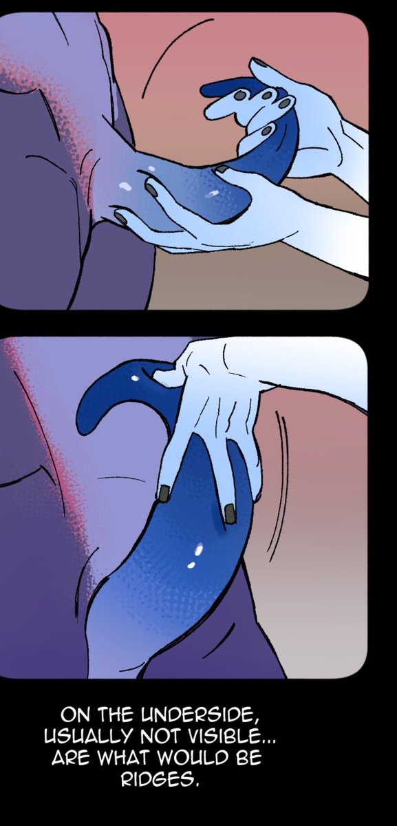 humanoids_09's tweet photo. reef anatomical lesson 1/2
hope you like the little demonstration https://t.co/bdiFJYB2Wm