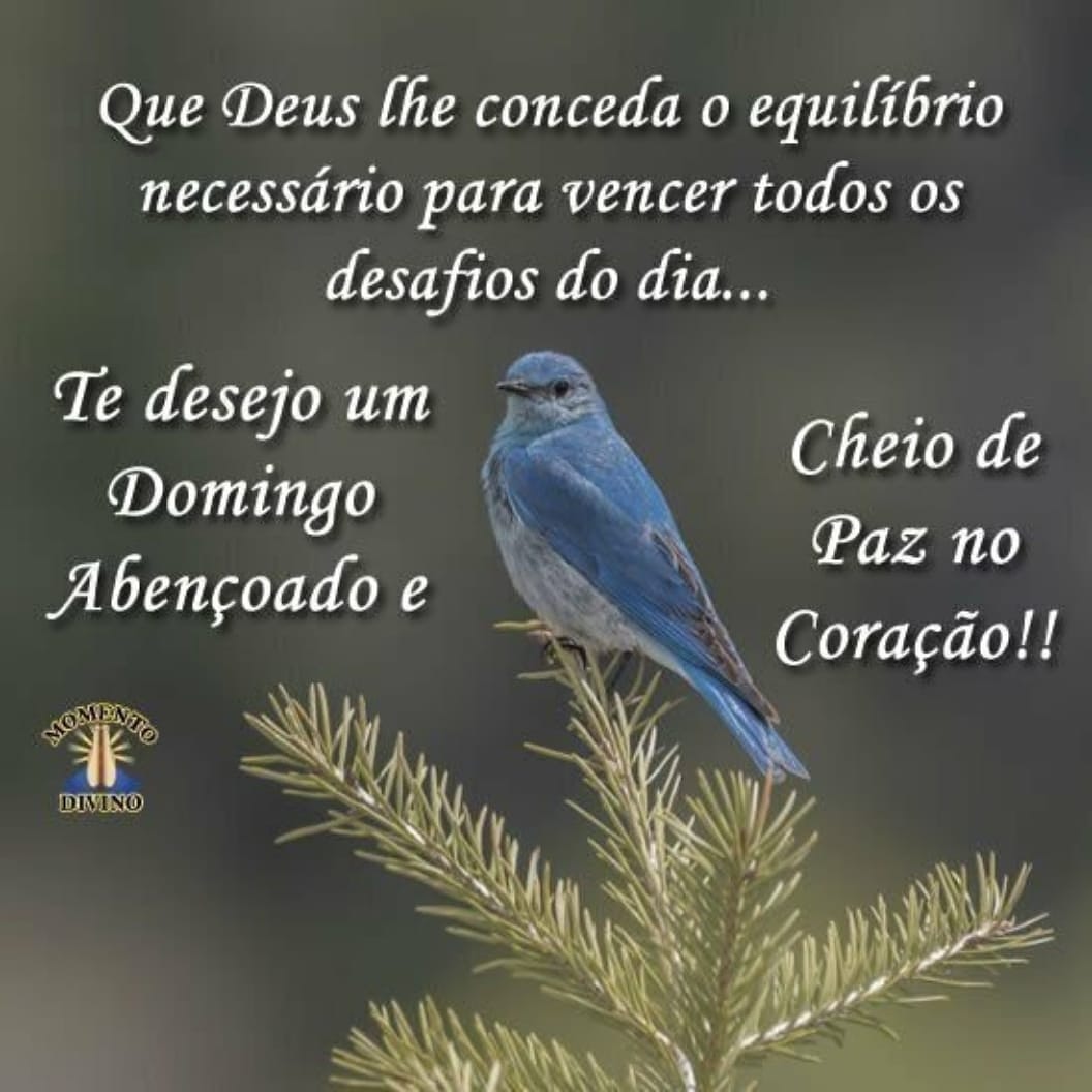 Boa tarde a todos