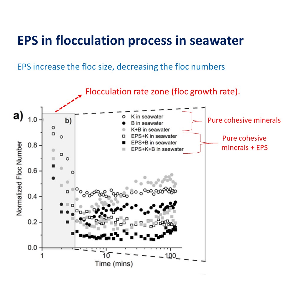 japgiraldo's tweet image. The less number of #flocs, the greater aggregation effects due to the law of mass conservation.
