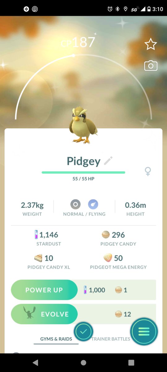 TakiaWolf's tweet photo. Caught another shiny Pokemon and evolve from few months ago. So yea ^v^7
#PokemonGO #shinyp https://t.co/KfgSFYX0MN