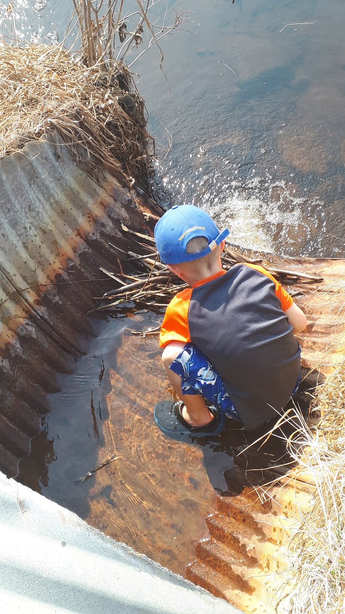 LindaMywaart's tweet photo. I love to "play" outdoors and this grandkid is a perfect playmate. Yesterday we tried to replicate a beaver dam with sticks and mud. Today was wetland exploration...frog eggs, frogs, ducks #getoutside #biggestkidofall #learningthruplay https://t.co/DgcZYaN5zM