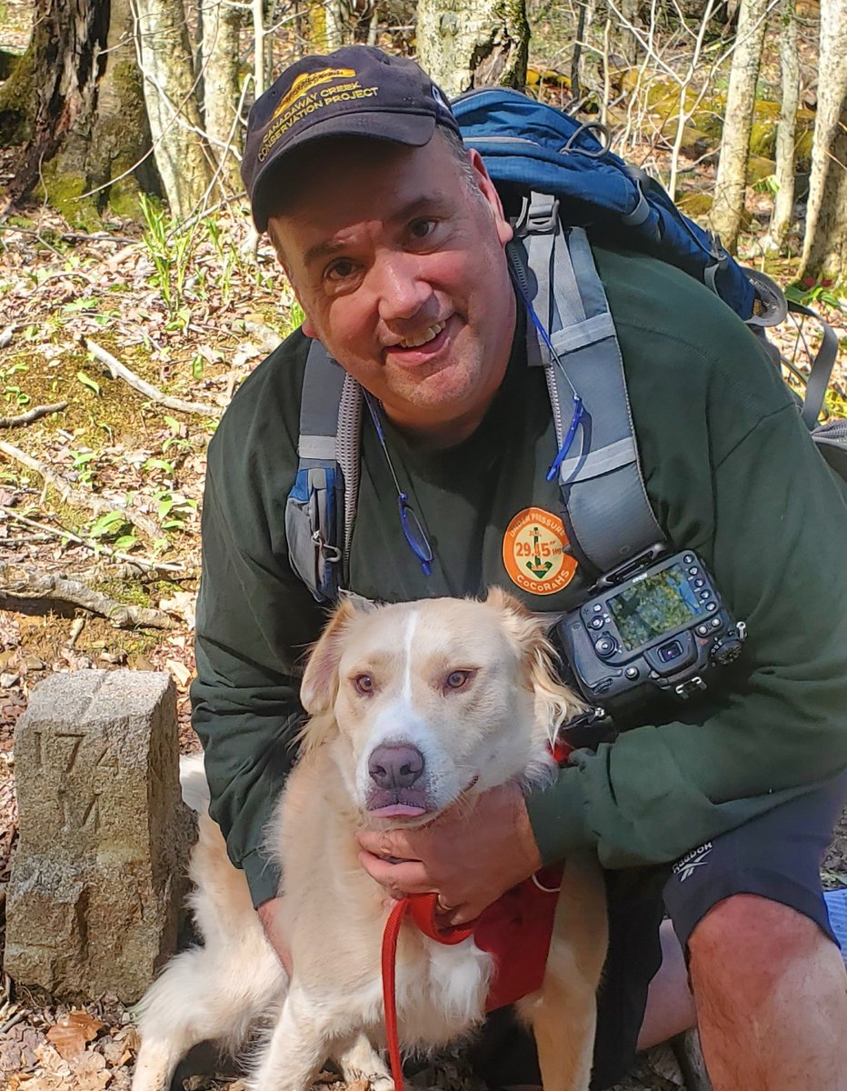 mjabot's tweet photo. Blacksnake Mt. Allegheny State Park. Great Spring hike with my explorer friend Finn and my bride #backyardbio https://t.co/hLiisU9pSP