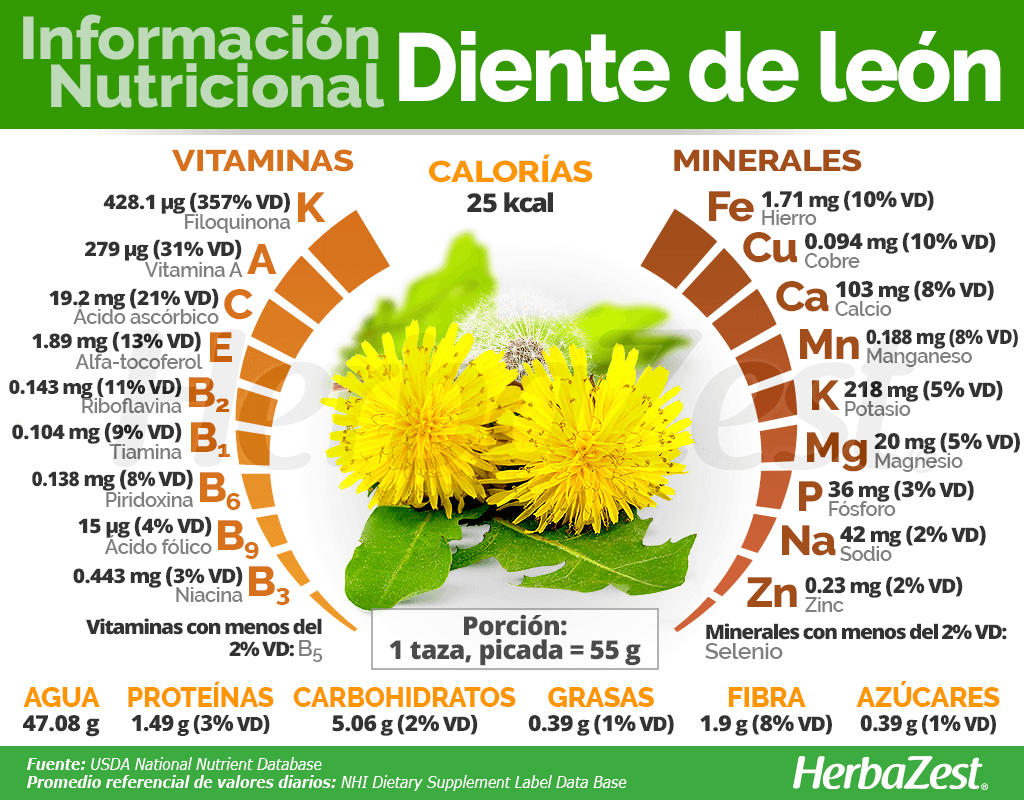 El diente de león (Taraxacum officinale Weber)
Una planta maravillosa con beneficios para muchas dolencias, depura el hígado, la vesícula biliar, remineraliza ...

Se utiliza la raíz, las hojas o la planta entera y se puede tomar fresca en ensaladas, seca en infusión o en polvo