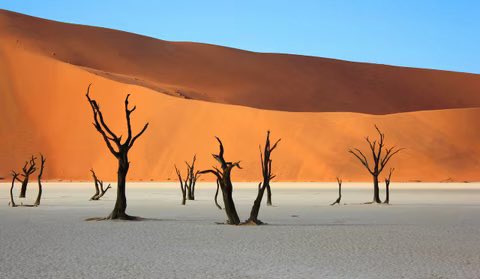 Africalive24's tweet photo. 10 Cheap Vacation Spots In Africa You Should Visit This Summer

10. Kigali, Rwanda

9. Mombasa, Kenya

8. Cairo, Egypt

7. Livingstone, Zambia

6. Dakar, Senegal

5. Cape Coast, Ghana

4. Zanzibar, Tanzania

3. Windhoek, Namibia

2. Marrakech, Morocco 

1. Cape Town, SouthAfrica https://t.co/nocLaByEyl