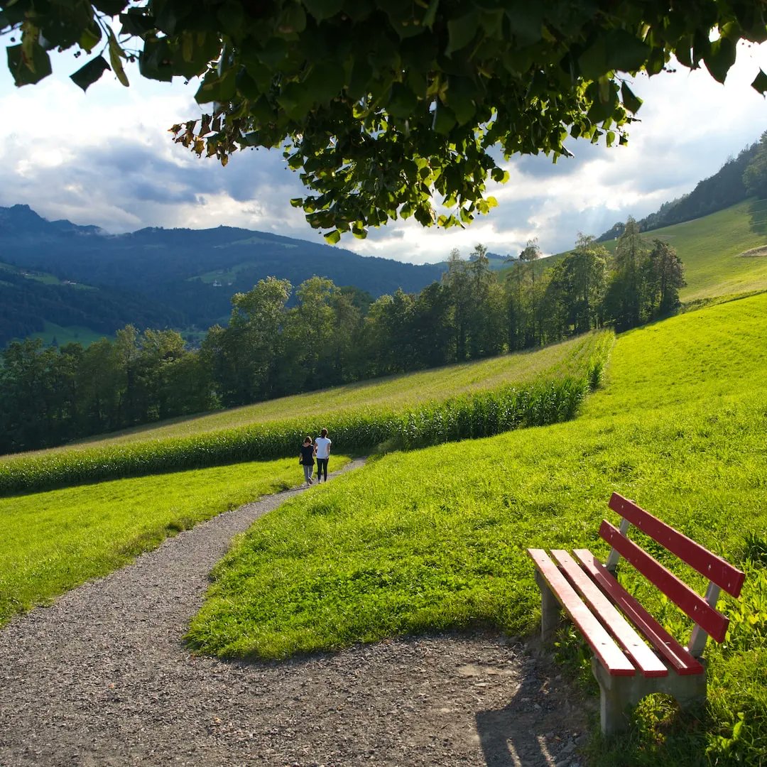 traveldiv's tweet photo. 🇨🇭  لو مسافر الى سويسرا هنا تجد افضل 4 مسارات تشمل سويسرا و المانيا و فرنسا
👇🏼
https://t.co/xT0El5IjV8
👆🏼 https://t.co/bUdsVt7tga