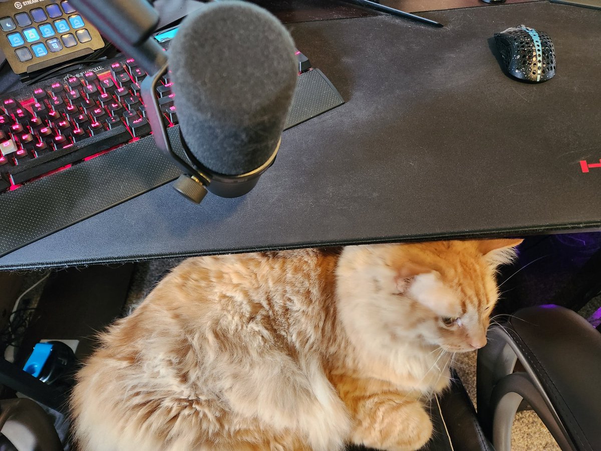 Got my Co-Streamer