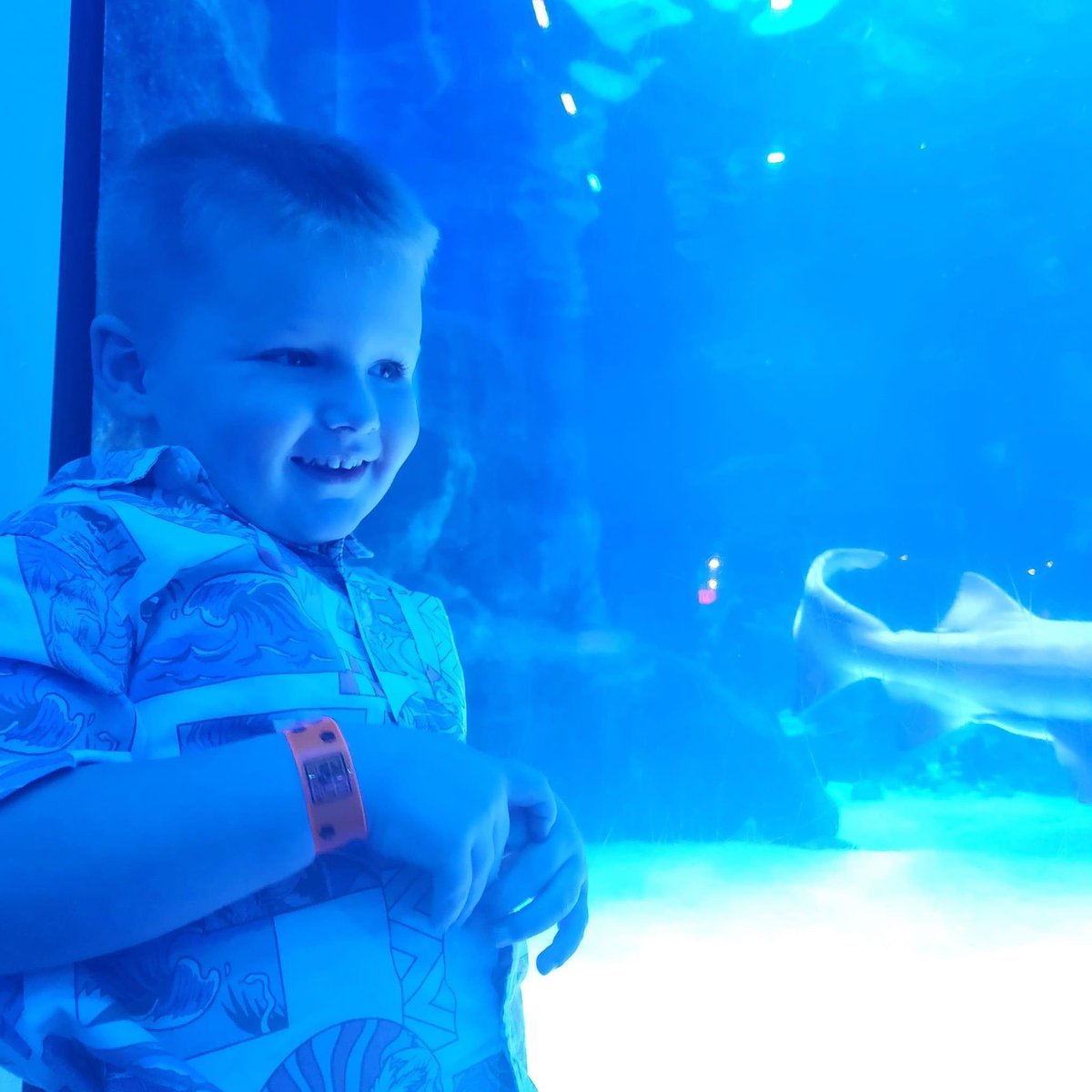 KalebVarney's tweet image. 💙