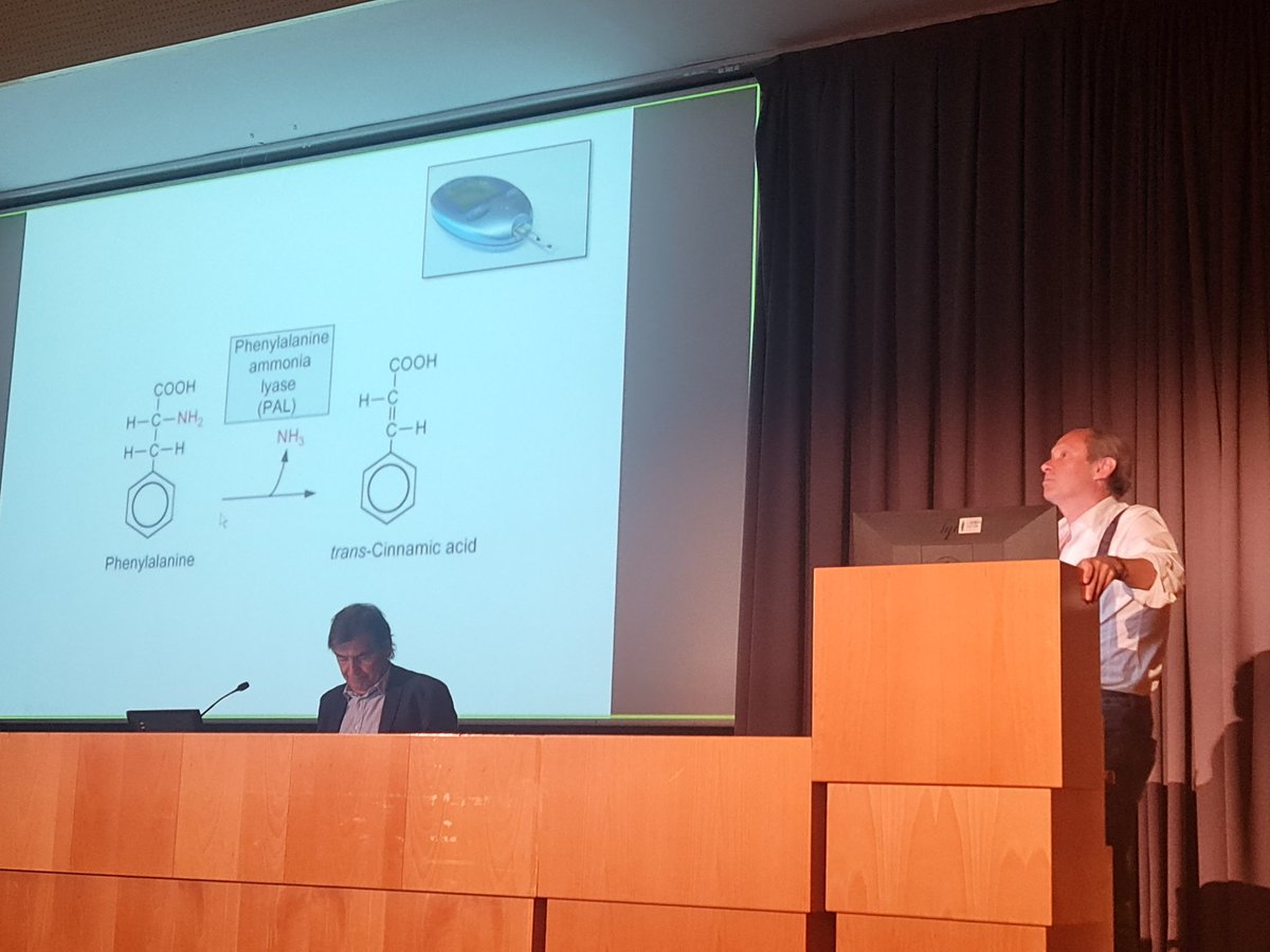 CharoSCancio's tweet photo. Por fin poder reunirnos todos de nuevo! Un privilegio contar con profesionales de bandera y un Hospital de referencia como @SJDbarcelona_ca @SJDmetabolicas explicando avances importantes #yoapoyopku #RareDisease #metabólicas #BiosensorPKU #lowprotein Gracias https://t.co/KyWddNlb9p