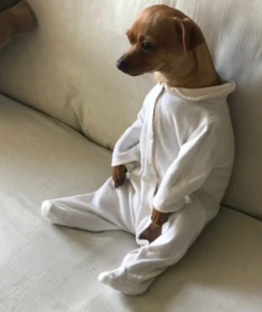 Ndingatsh's tweet photo. @GYerathel Doctor. Can one also make a pussy? Just curious 🤔 https://t.co/Orrk6HXemQ