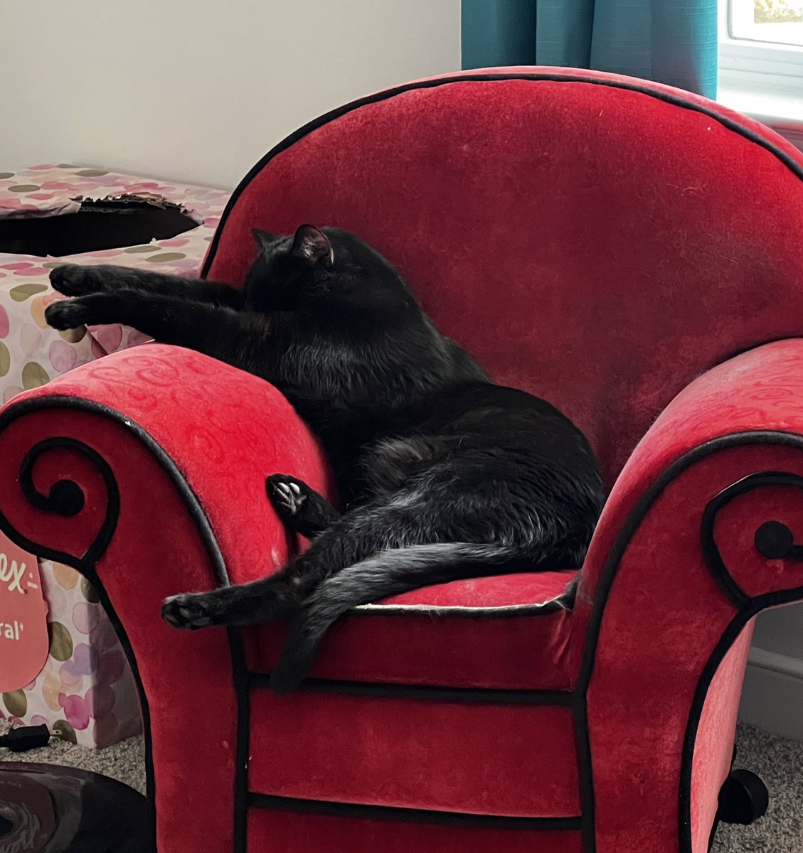 It’s wild seeing that child sized Blues Clues chair go viral because I have one that I got from my aunt who was gonna toss it more than a decade ago and my cat just sleeps on it pretty much everyday as if he worked a double shift during Black Friday.