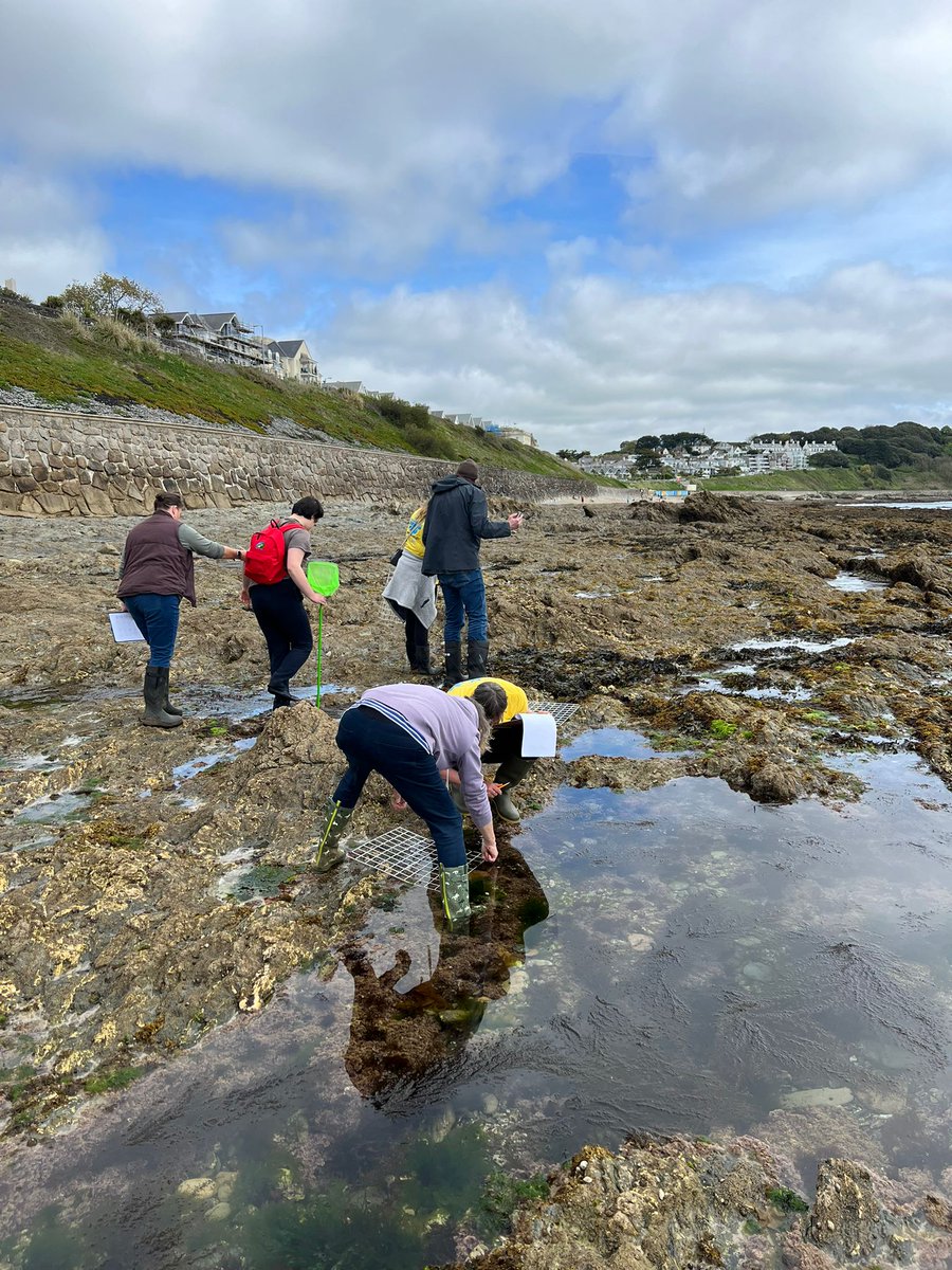 The Rock Pool Project tweet media