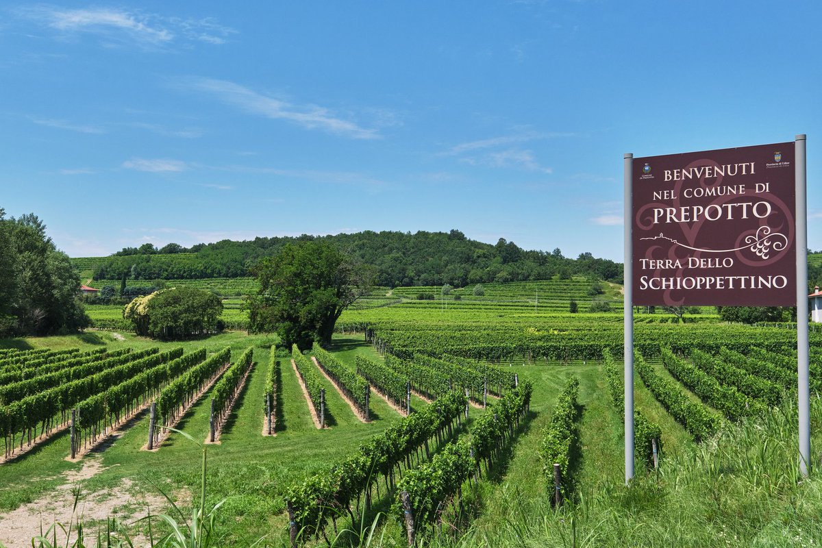 VisitFVG's tweet photo. Conosci EnjoyPrepotto?🍷🍇
Una realtà nata sotto il segno della condivisione: di emozioni, di esperienze, di specificità, di servizi, che offre all’enoturista un’esperienza autentica✨
Vieni a scoprire anche tu il Comune di #Prepotto👉 https://t.co/Vd4ct9KdrI
#iosonofvg #fvglive https://t.co/MwxZ50qHF1