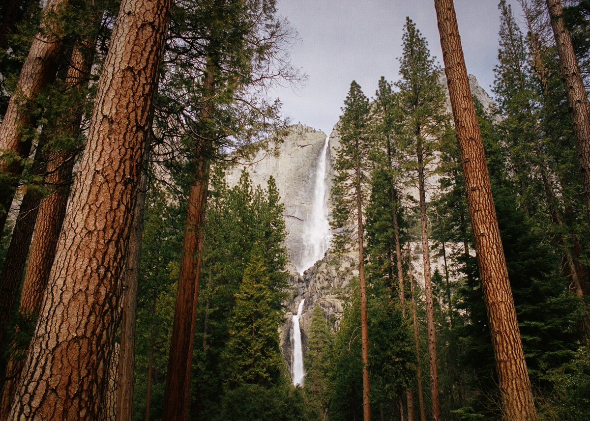 Yosemite on film
