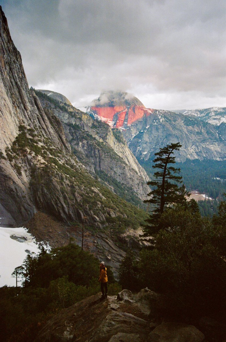 Portra Papi tweet media