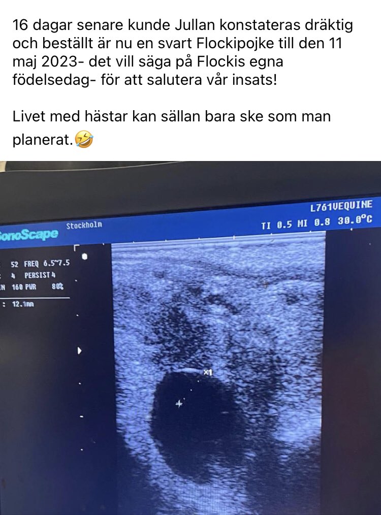 Bakgrunden till senaste fölet i långläsning printat från Facebook. Ibland är det inte skitlätt att få till ett nytt litet liv.😂