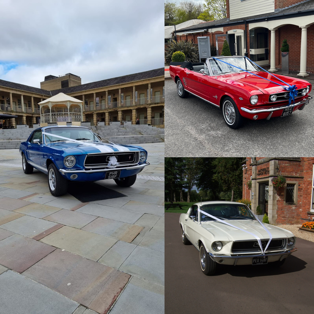 Ford Mustang Wedding tweet media