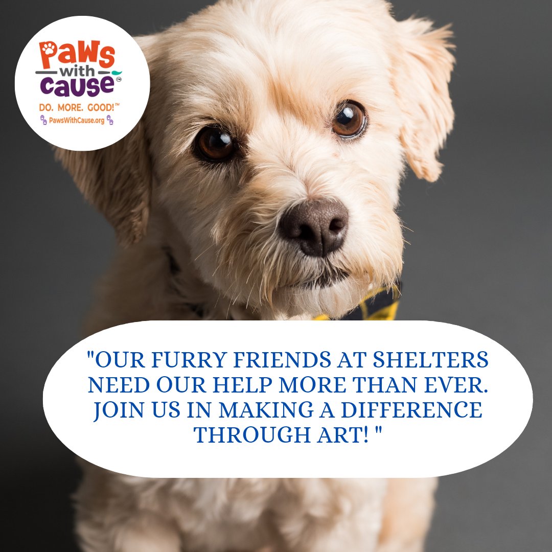 PawswithCause tweet media