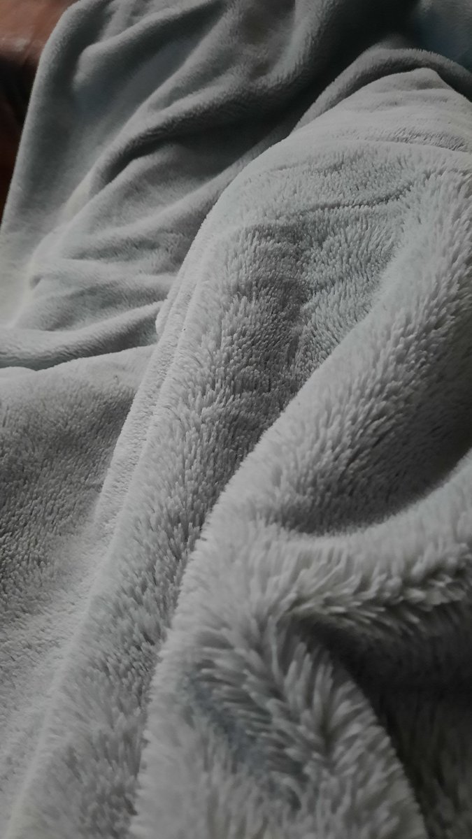 __DelMar__'s tweet photo. Irgendwas mit Flausch,
und so weiter. 😏
#Sofazeit https://t.co/vGHhSSRGPc