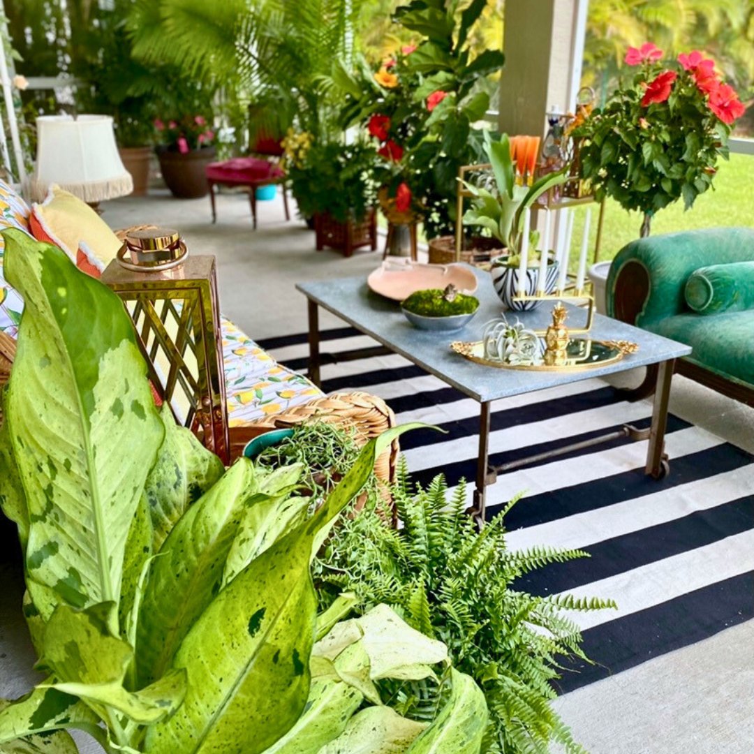 FLHomeShows's tweet image. Plant me Rosey is an award-winning biophilic design studio. With expertise in moss wall design, living walls, &amp;amp; landscape design. This latest lanai makeover project, features the perfect blend of Palm Beach style furniture &amp;amp; biophilic design. 😍 

#PalmBeachHomes #GreeneryDesign