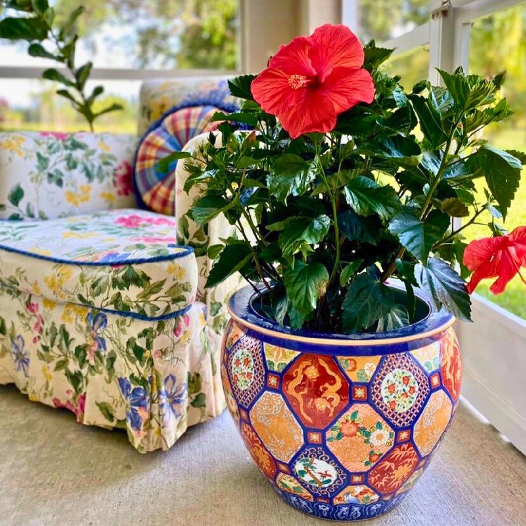 FLHomeShows's tweet image. Plant me Rosey is an award-winning biophilic design studio. With expertise in moss wall design, living walls, &amp;amp; landscape design. This latest lanai makeover project, features the perfect blend of Palm Beach style furniture &amp;amp; biophilic design. 😍 

#PalmBeachHomes #GreeneryDesign