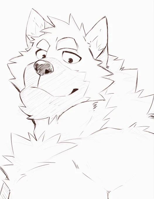 ヒロ…あなたヒロって言うのね…!!✨🐶