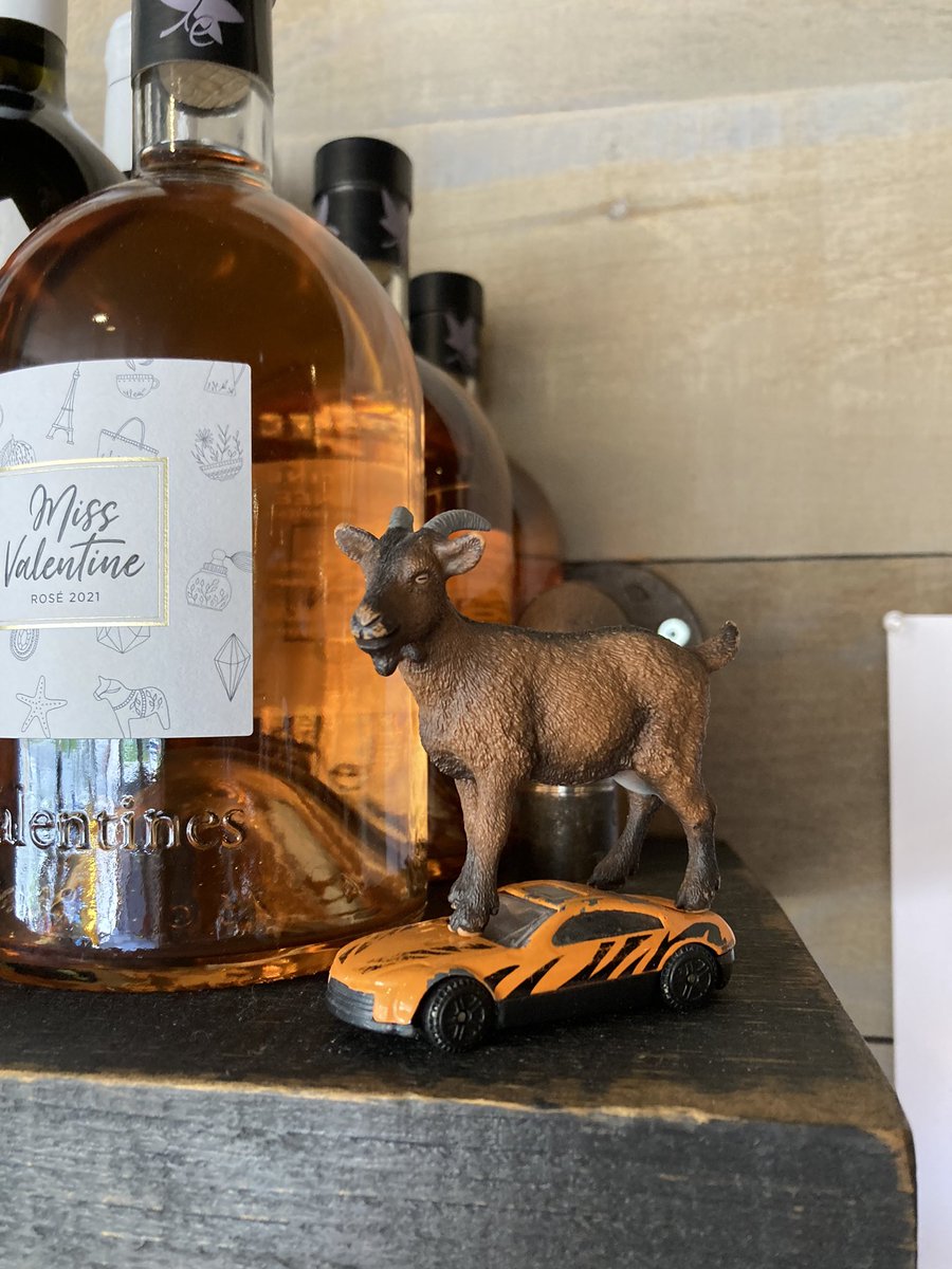 Adventure_Gauss's tweet photo. Stopped by the Happy Goat Coffee Company while on an adventure with my human. I made sure to say hello to the goat. I got a lavender espresso tonic which I shared with my human. @happygoatcoffee #goat #happygoat #coffee #lavenderEspresso https://t.co/htb8tM68bK